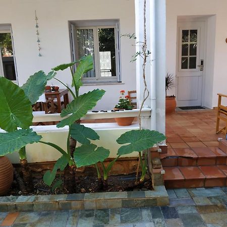 Zacharoula'S Home Hanya Dış mekan fotoğraf