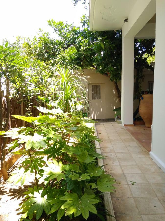 Zacharoula'S Home Hanya Dış mekan fotoğraf
