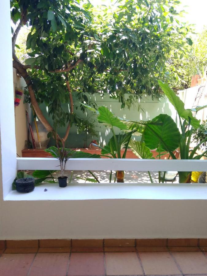 Zacharoula'S Home Hanya Dış mekan fotoğraf